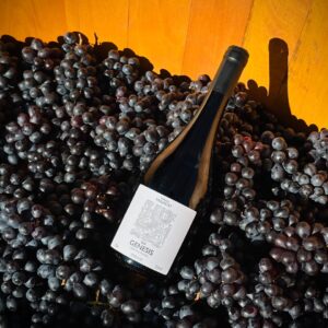 Vinho Tinto Fino Seco Inox Sirah Gênesis 13% vol.