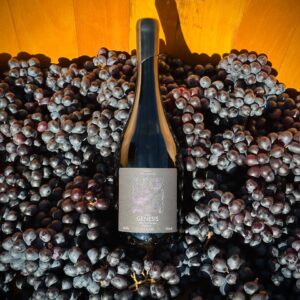 Vinho Tinto Fino Seco Reserva Sirah Gênesis 13,5% vol.